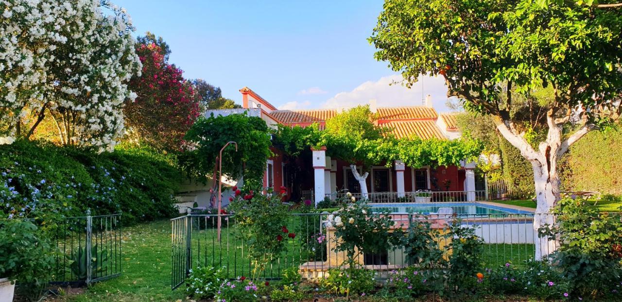 Cortijo El Triguero N-398 Ctra Carmona - El Viso Del Alcor Km 18 Villa ภายนอก รูปภาพ