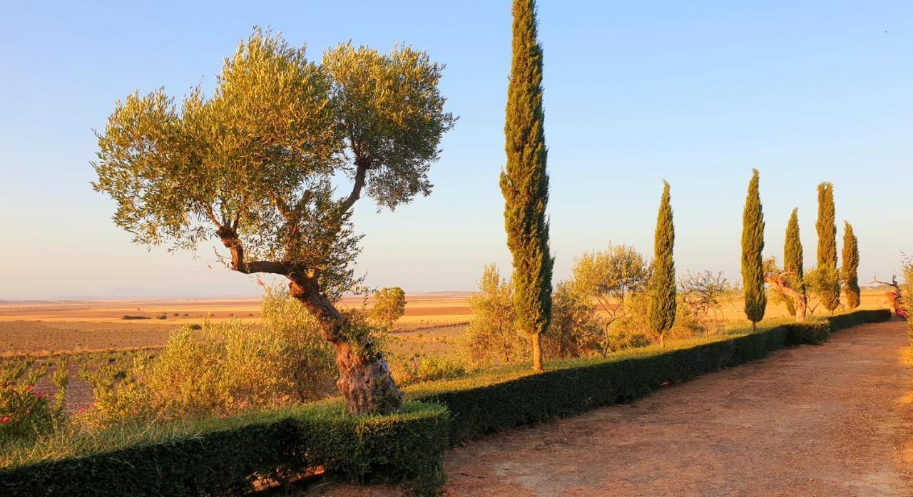 Cortijo El Triguero N-398 Ctra Carmona - El Viso Del Alcor Km 18 Villa ภายนอก รูปภาพ