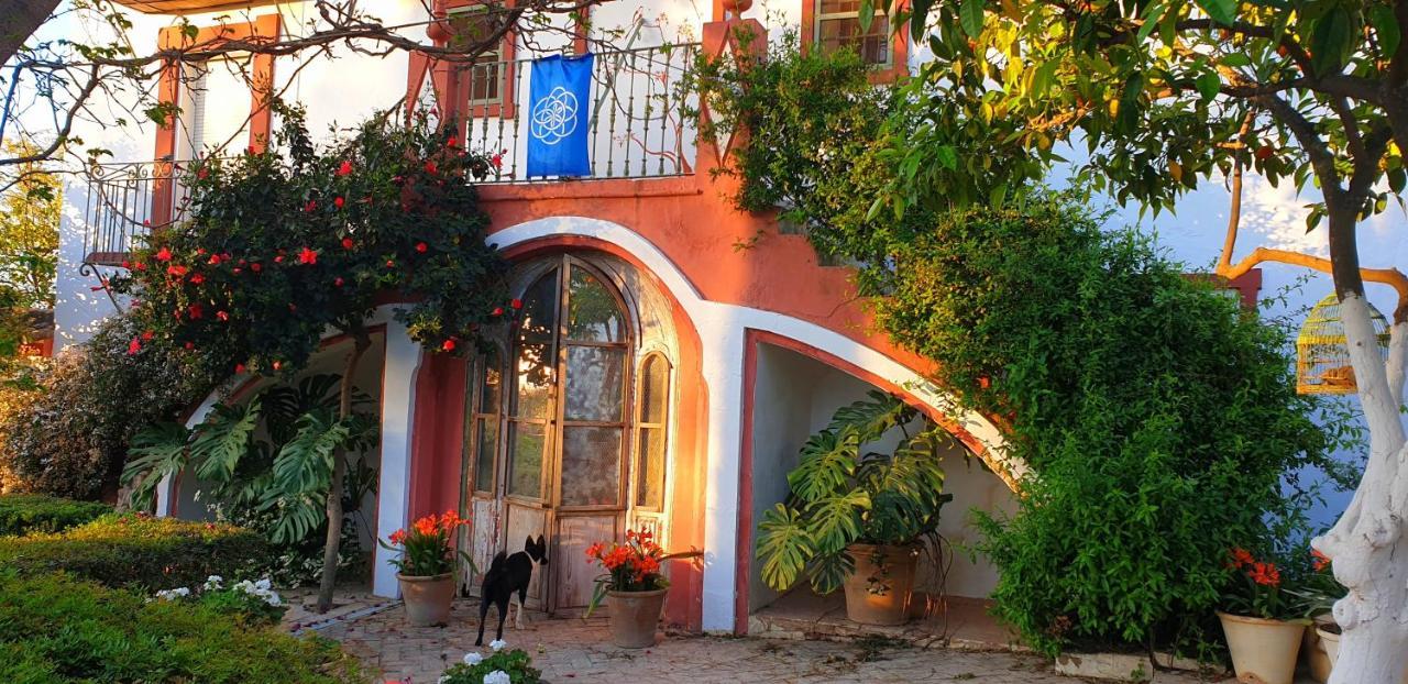 Cortijo El Triguero N-398 Ctra Carmona - El Viso Del Alcor Km 18 Villa ภายนอก รูปภาพ